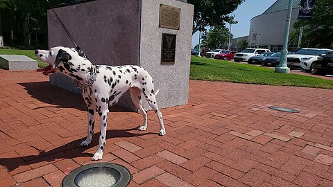 Luna says hello to the navy goat
