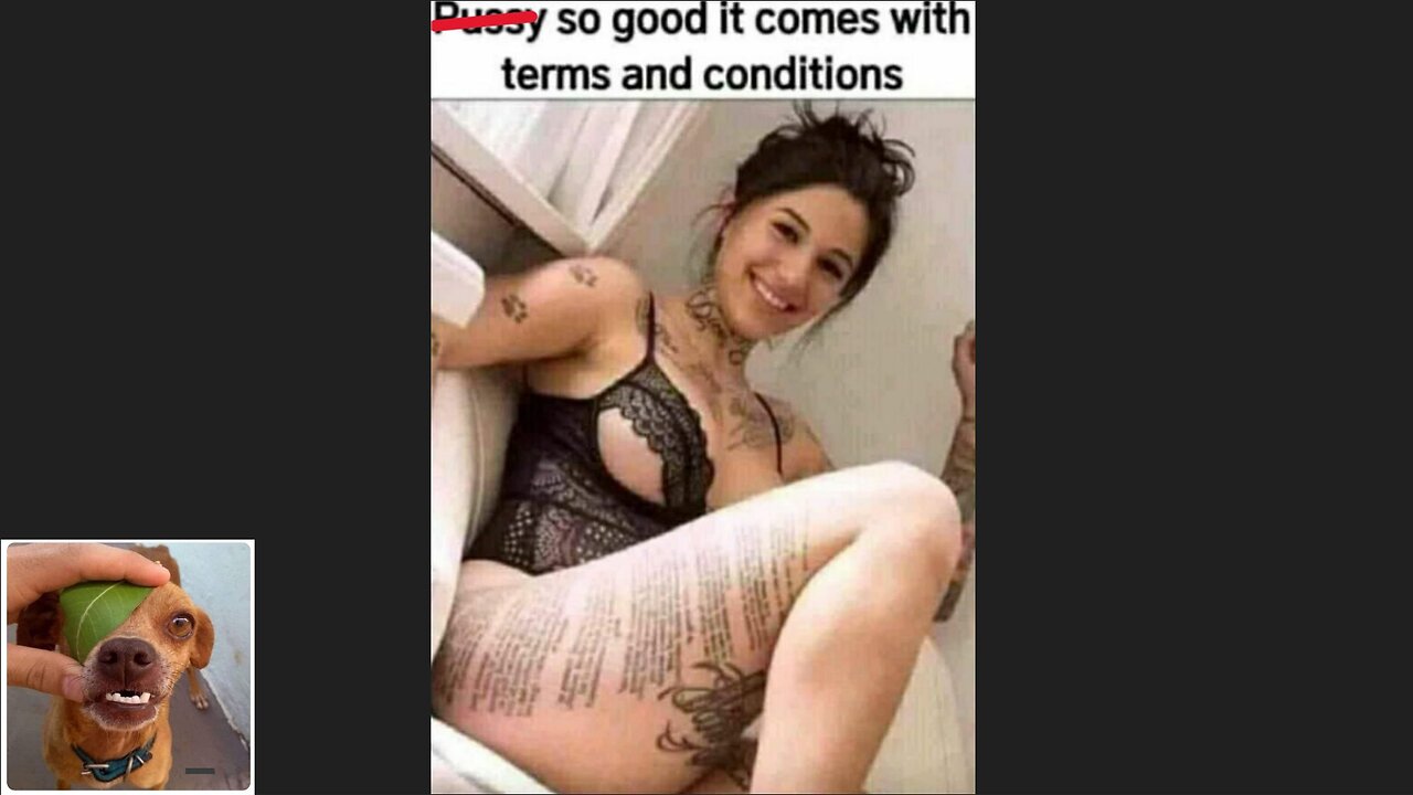 Memes That Will 99.941% Make You Laugh. (e166)