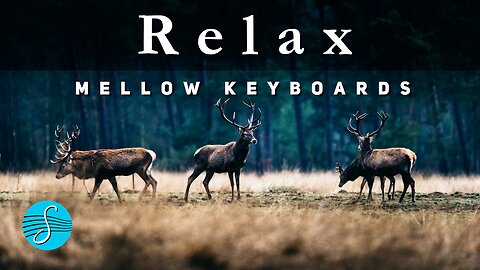 Relax with Mellow Keyboards and Smooth Jazz