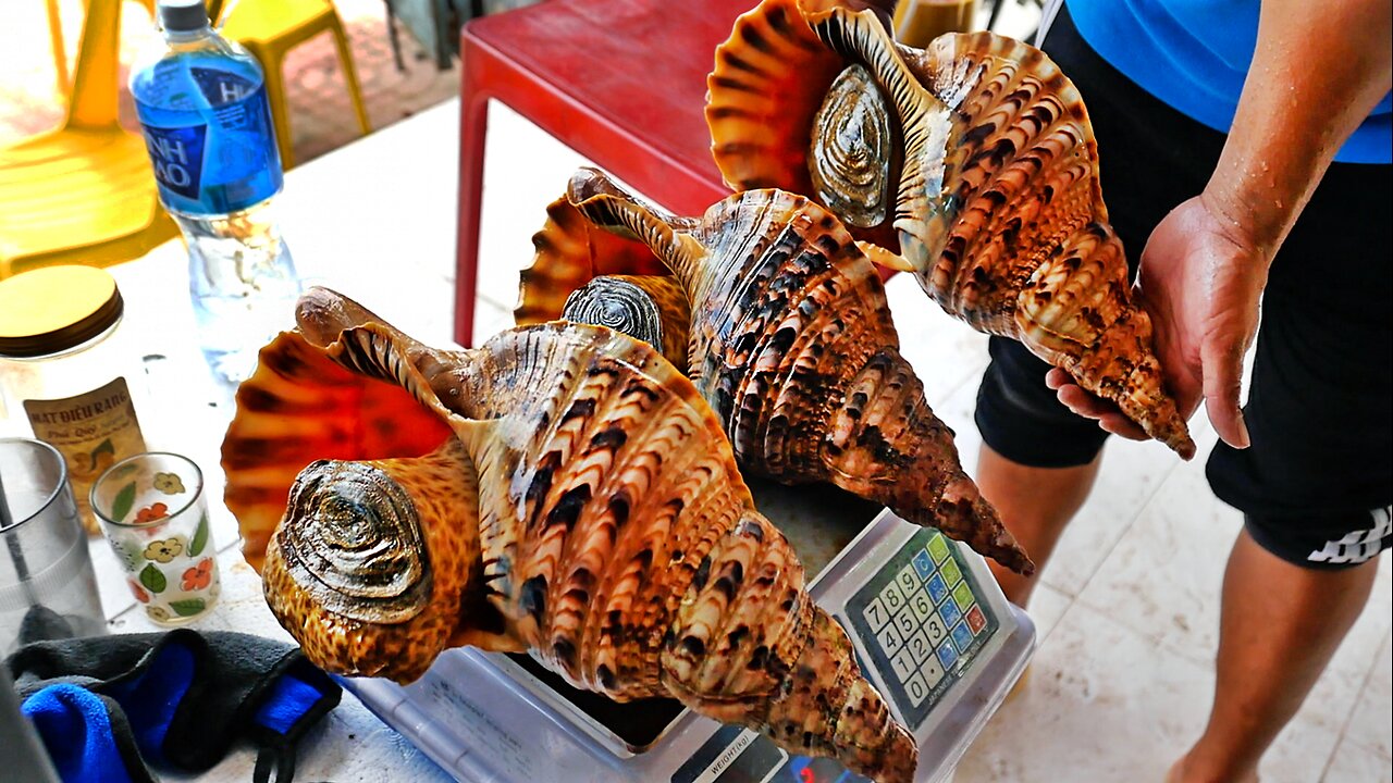 Vietnamese Food - GIANT ALIEN CONCH Cooked Two Ways Mui Ne Seafood Vietnam