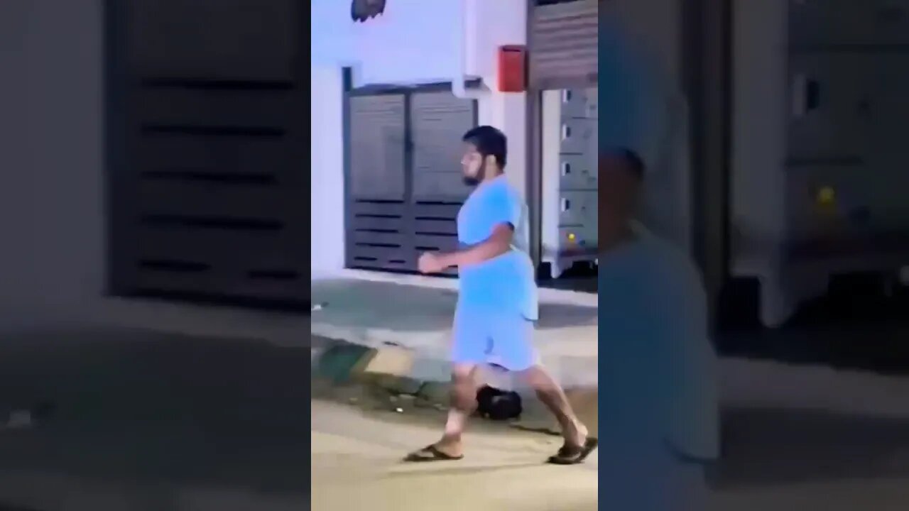 #short #1minute #funny #compilation #5