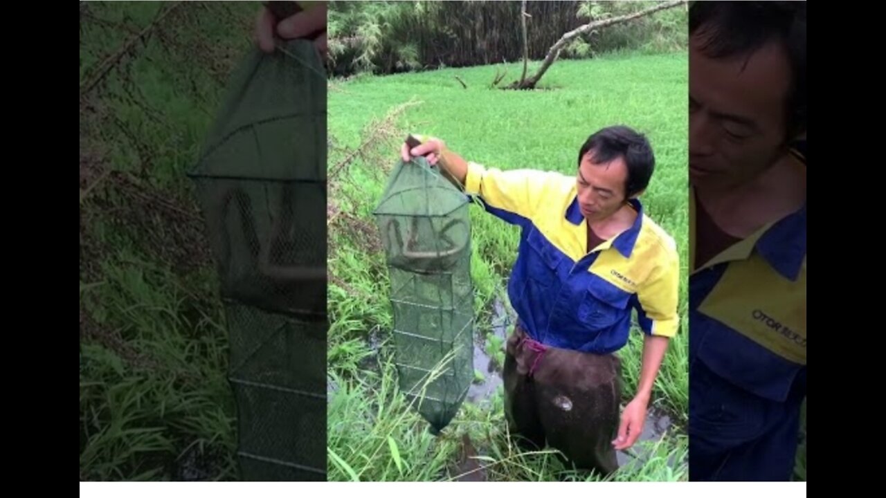 Amazing rural fishing,top video for fishing