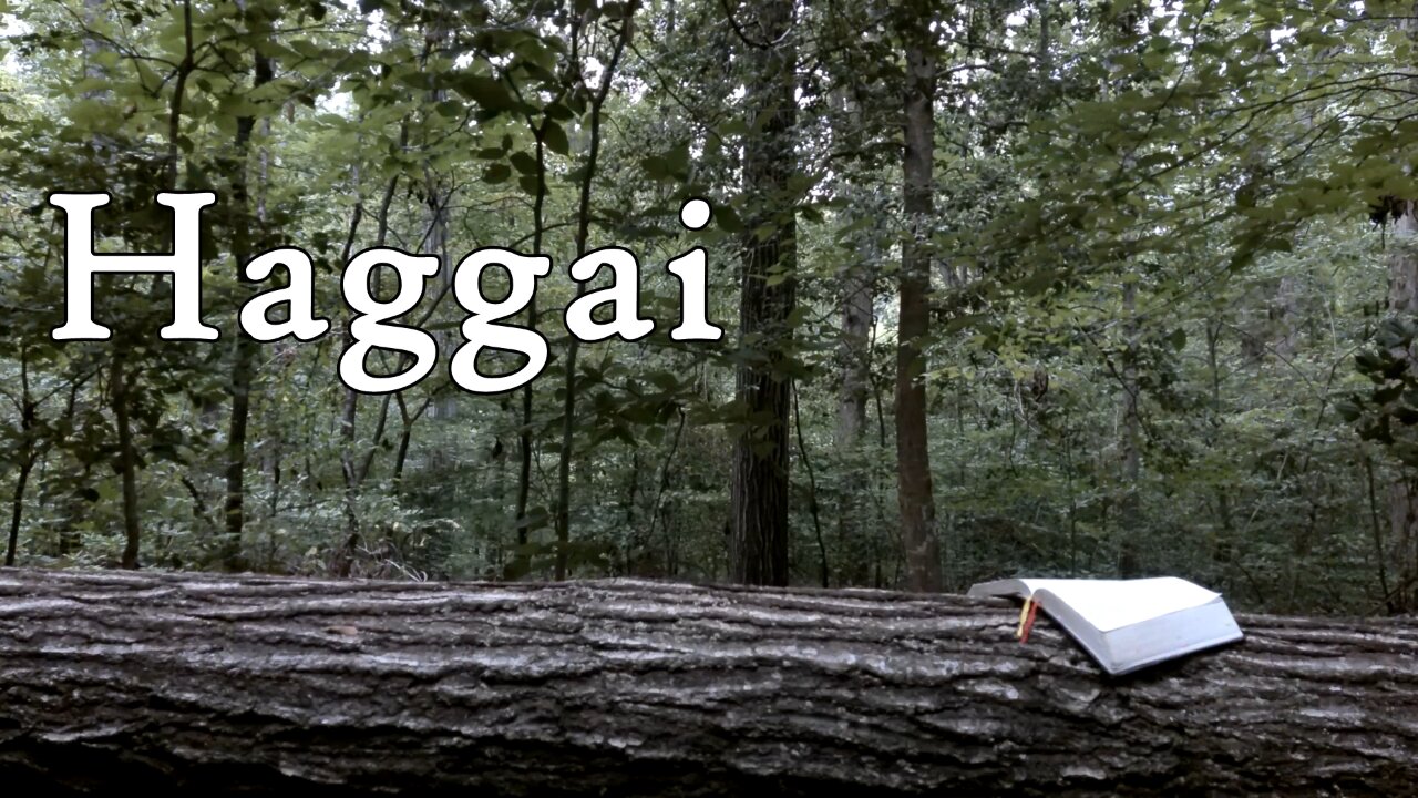 Haggai | The Holy Bible | Old Testament 37/39