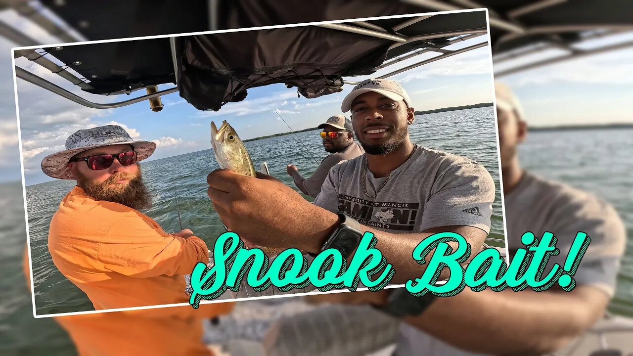 Beers, Bros, & Bees | Late Spring Flats Fishing in Tampa Bay