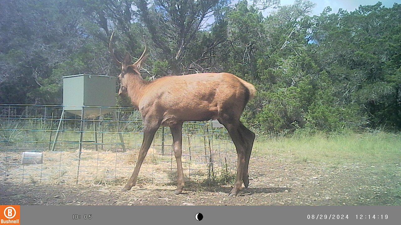 Wildlife Attractant THE RESULTS