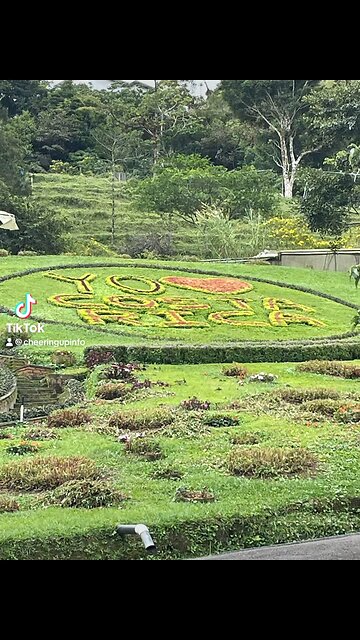 Pura Vida Costa Rica