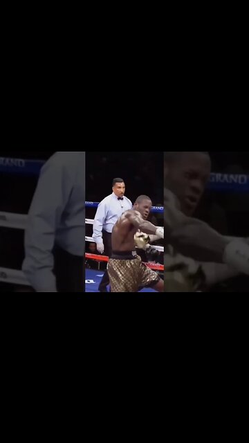 Bermane Stiverne vs Deontay Wilder
