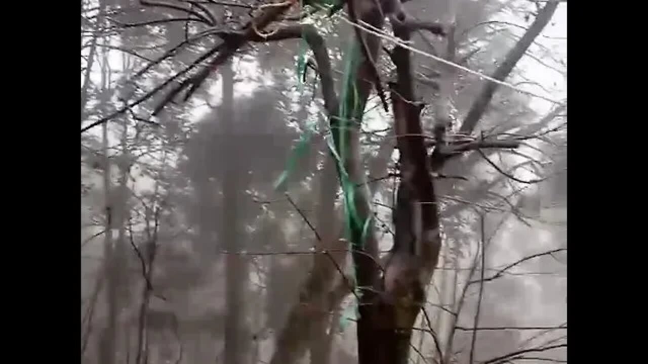 RAINING IN KASHMIR 🌧️🌧️🌧️Birds calls and cold wheather