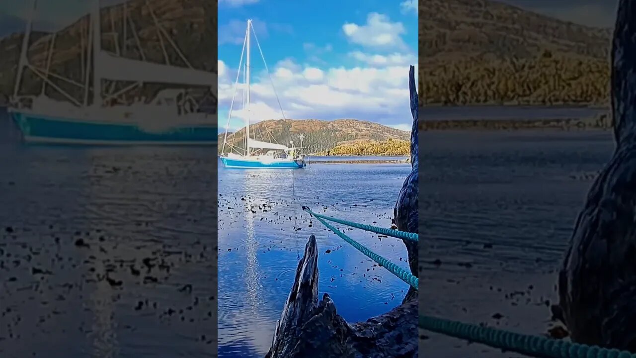 Look at those PUFFS #wilderness #patagonia #sailing