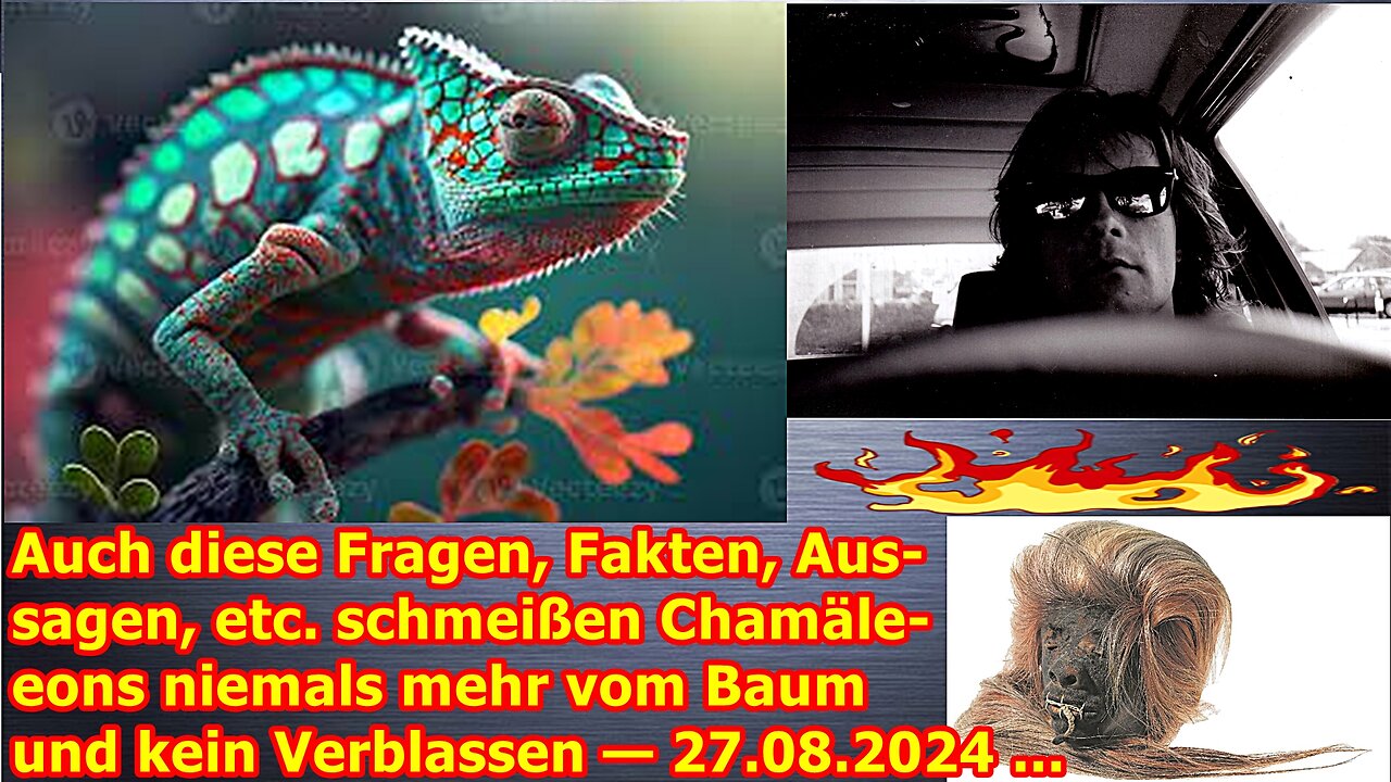 Auch diese Fragen, Fakten, Aussagen, etc. schmeißen Chamäleons niemals mehr vom Baum — 27.08.24 ...