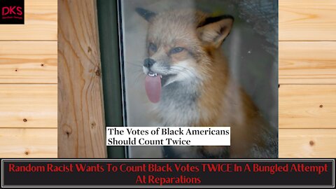 Random Racist Wants To Count Black Votes TWICE In A Bungled Attempt At Reparations