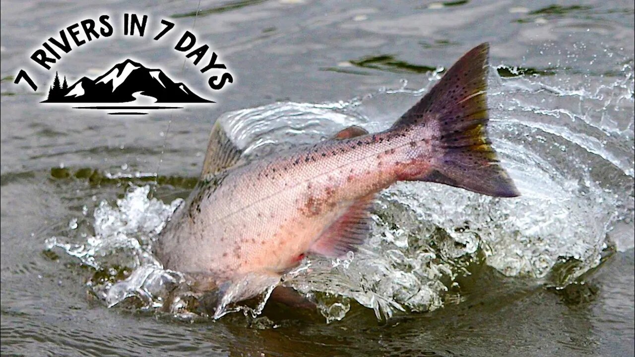 Fishing 7 Rivers In 7 Days, Over 600 Miles Traveled. - 7 Day Challenge Official Movie