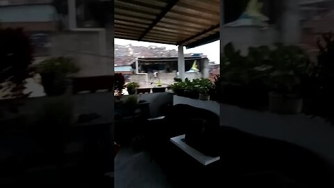 Açúcar para os beija flor uma hora dessa da nisso