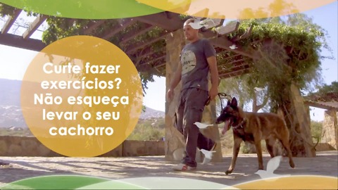 Curte fazer exercícios? Não esqueça levar o seu cachorro.