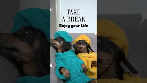 Take a Break and enjoy your Life