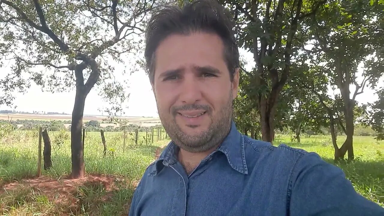 Perícia judicial: Quando a prova é invalidada