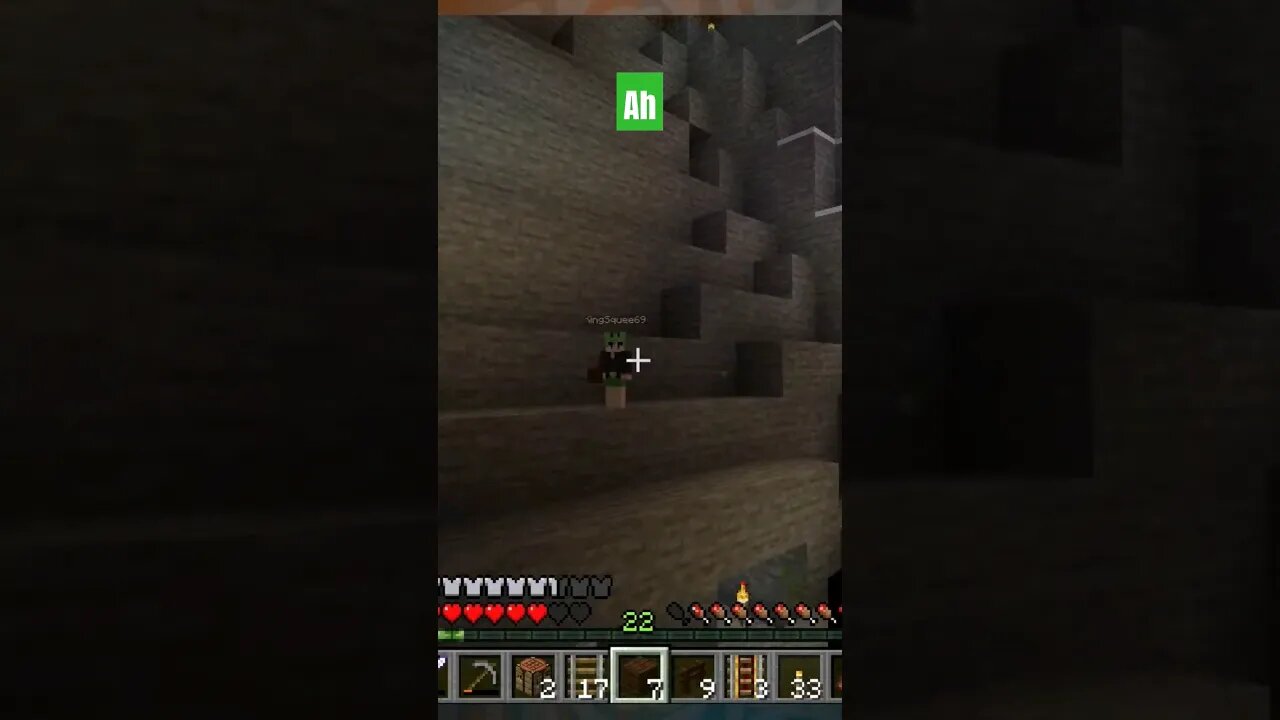 quick, be funny! #minecraft