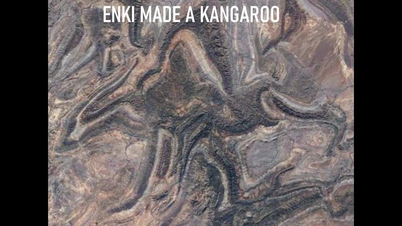 ENKI MADE A KANGAROO THE ANUNNAKI ANT BEING CREATOR MADE A ROO FOR ADAM TO RIDE (Audio Remastered)