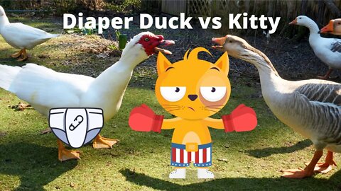 Shady Diaper Duck vs Cat 2022 #Shorts