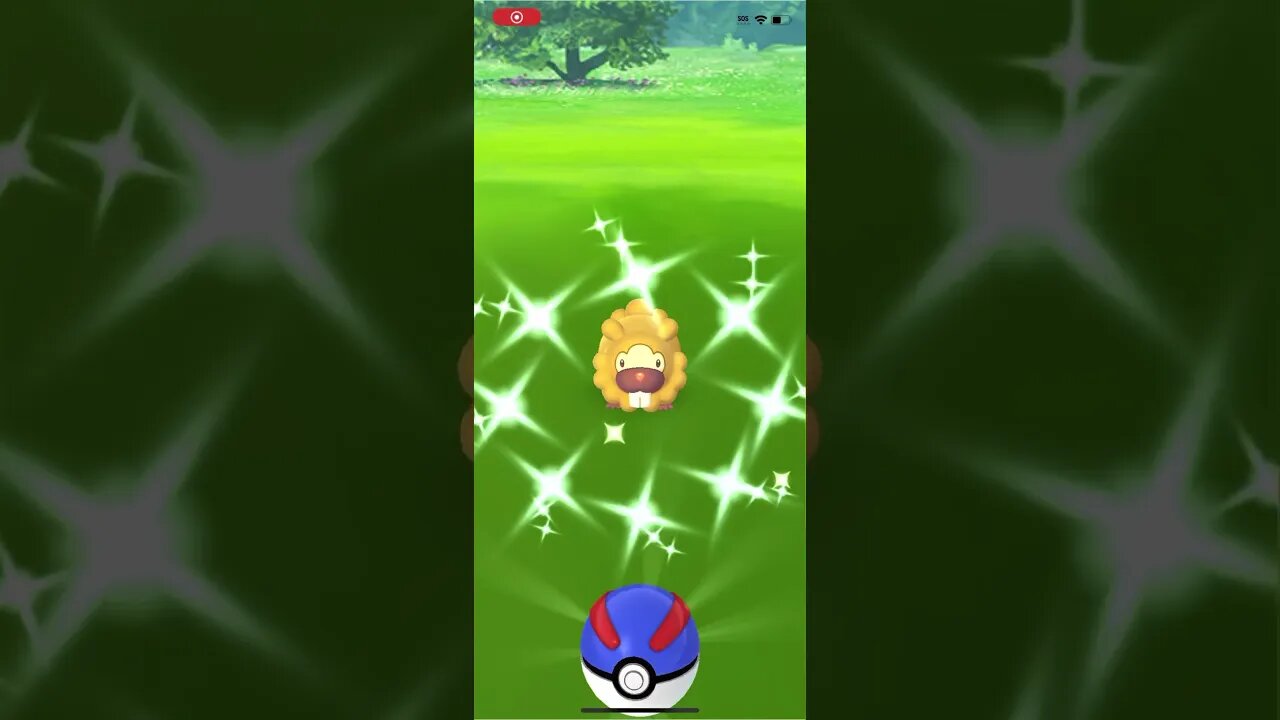 Shiny Compilation