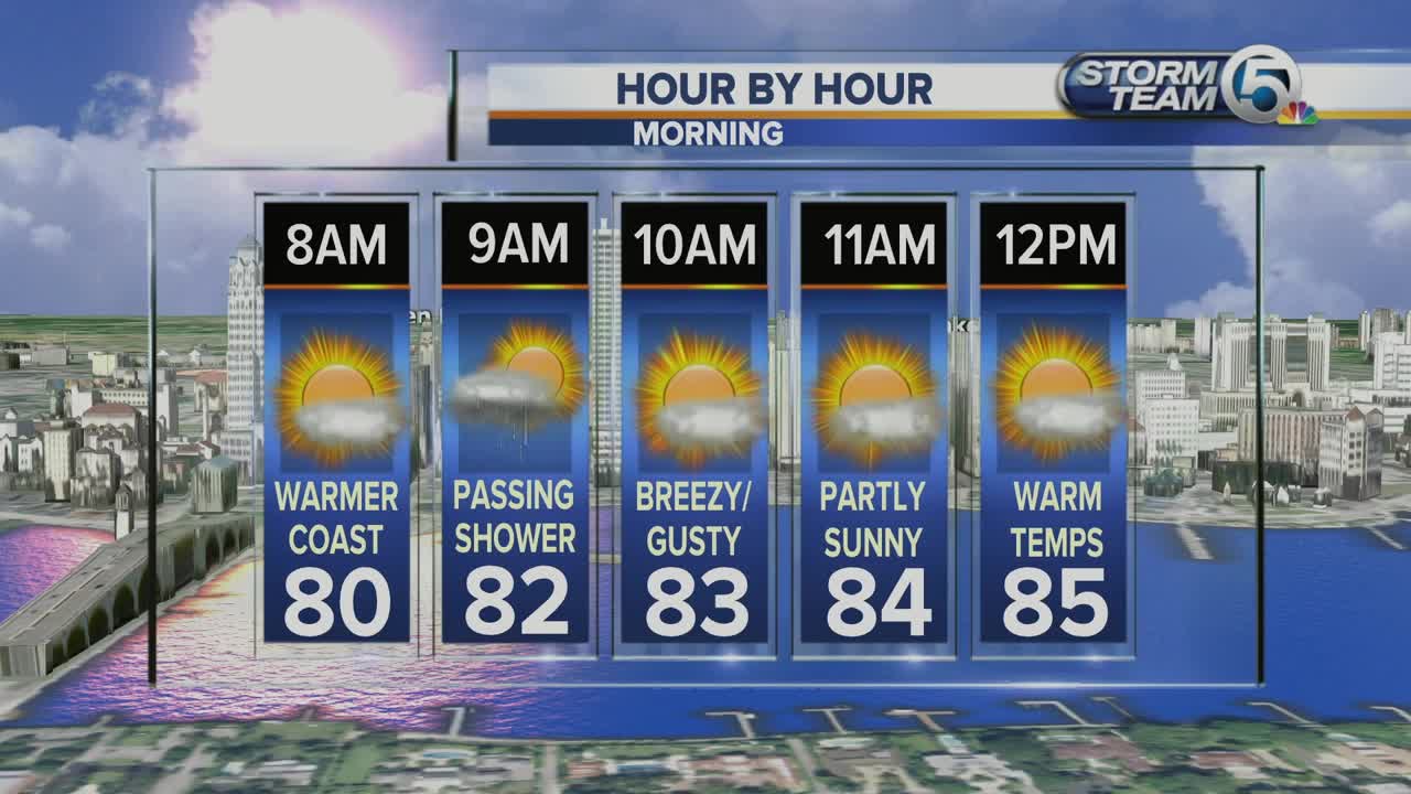 Wednesday midmorning forecast