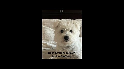 #Bella