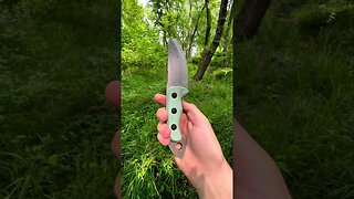 2023 Shed Knives Sheepsfoot After Field Use | Shed Knives #shedknives #shorts