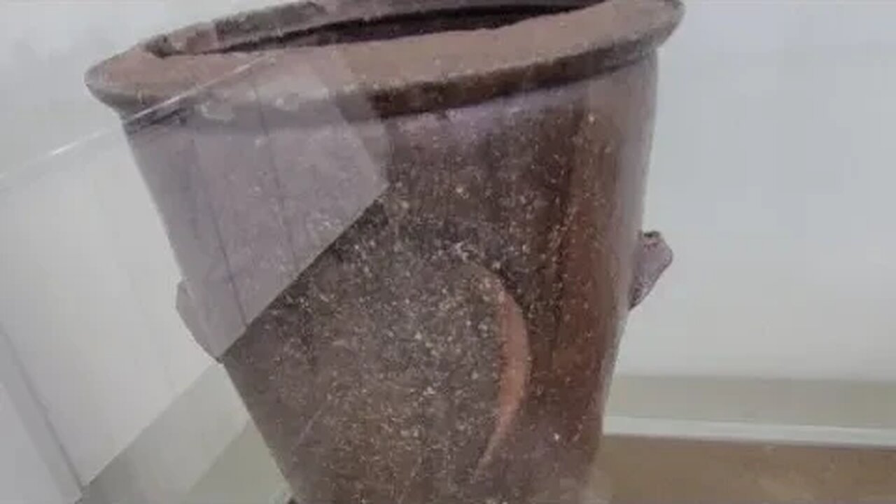 옹기초병 애보박물관