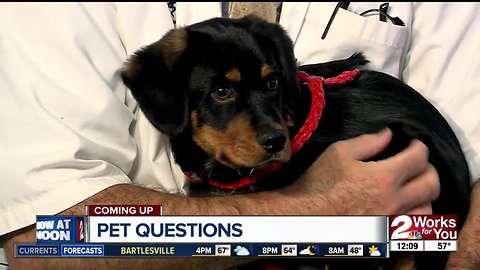 Ask Dr. Joe: Kobe visits Channel 2