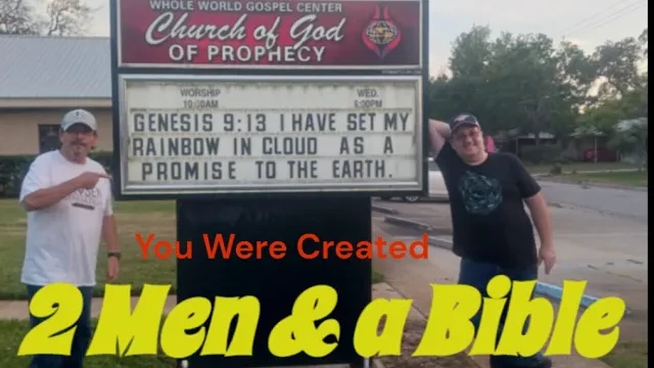 You are Created