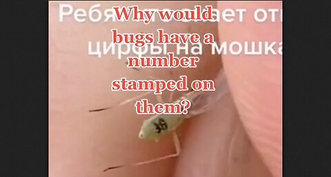 Why Would Bugs Have A Number Stamped On Them? Genetically Modified By Bill Gates