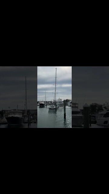 Sailboat Maneuvering - Backing into tight spaces! #shorts