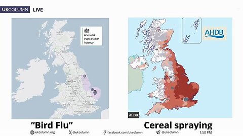 Bird Flu and PCR Tests: The Poultry Slaughter Crisis, Overlooked Cereal Crop Spray Controversy - UKC