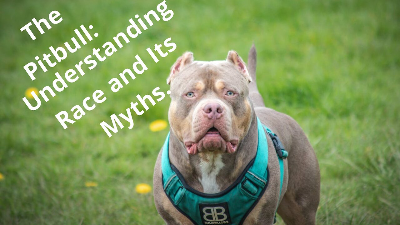 The Pitbull: Understanding the Breed and Its Myths.