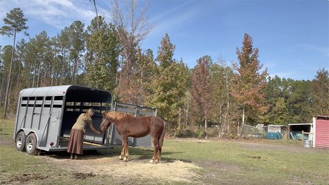 Trailer Loading with Jackson - Week 4