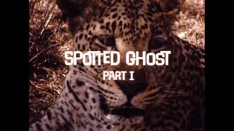 Mutual of Omaha's Wild Kingdom - "Spotted Ghost Part 1"