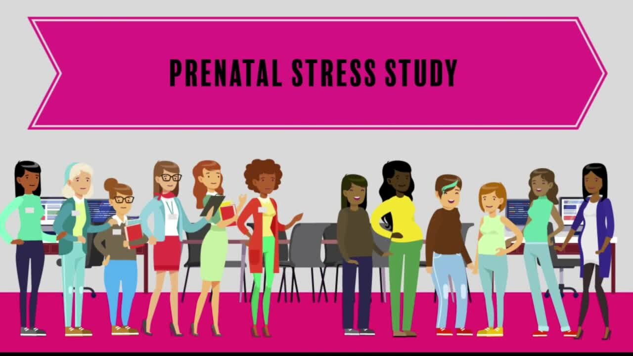 MSU Prenatal Stress Study