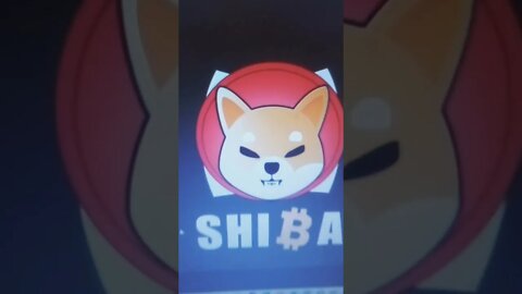 shiba inu cryptocurrency