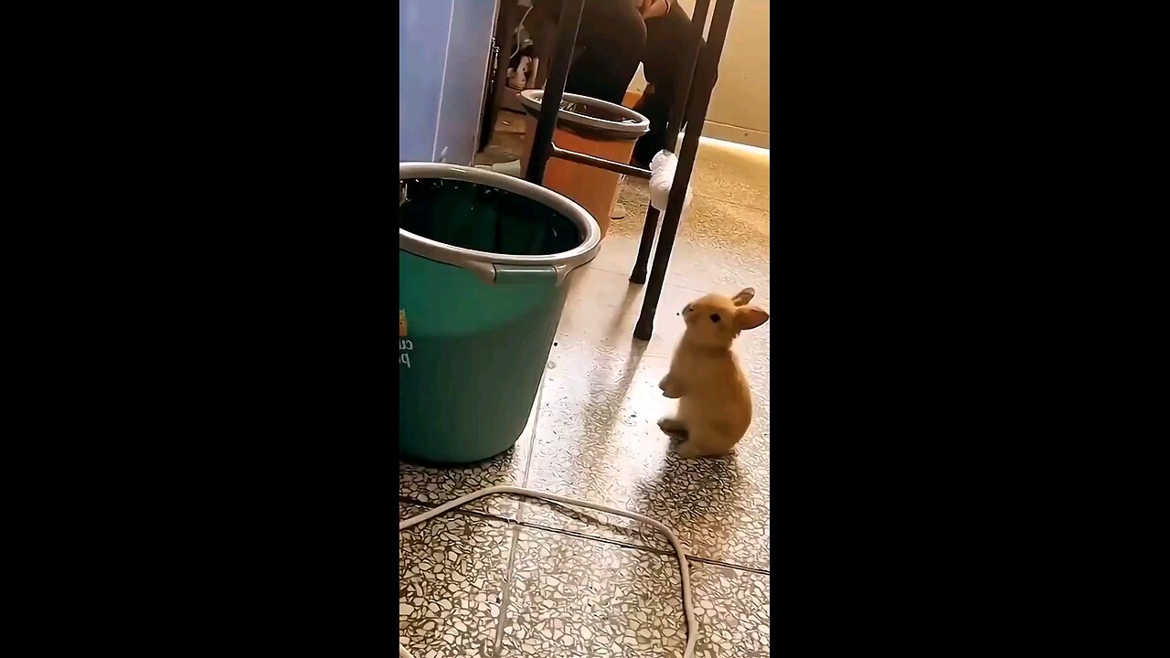 2😃😀😄