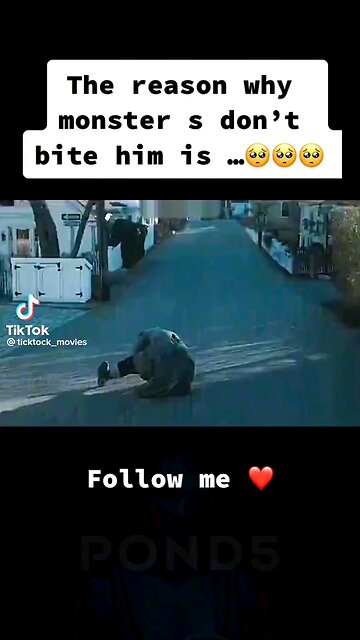 The Unusual Bond Between Monster and Man