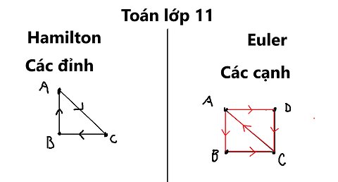 Tổng hợp các kiến thức cơ bản về đường đi, chu trình Hamilton và Euler lớp 11 thi THPT 2025