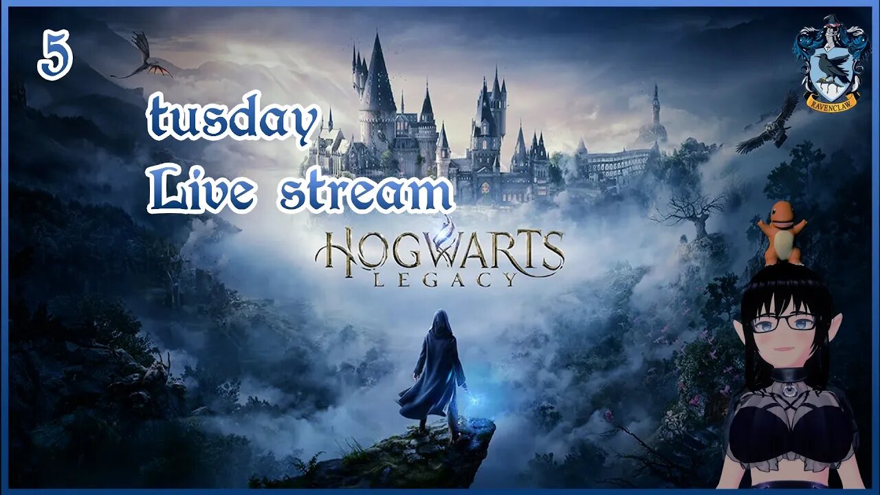 idiot Vroid potter head plays Hogwarts legacy 5