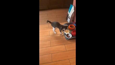 Food critic
