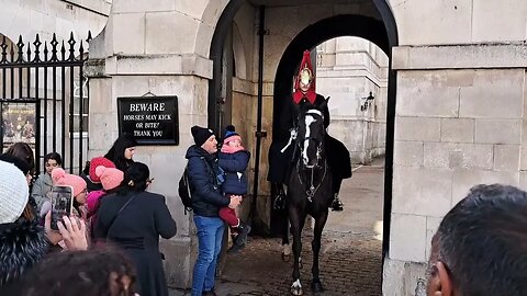 I don't think the horse likes that #horseguardsparade