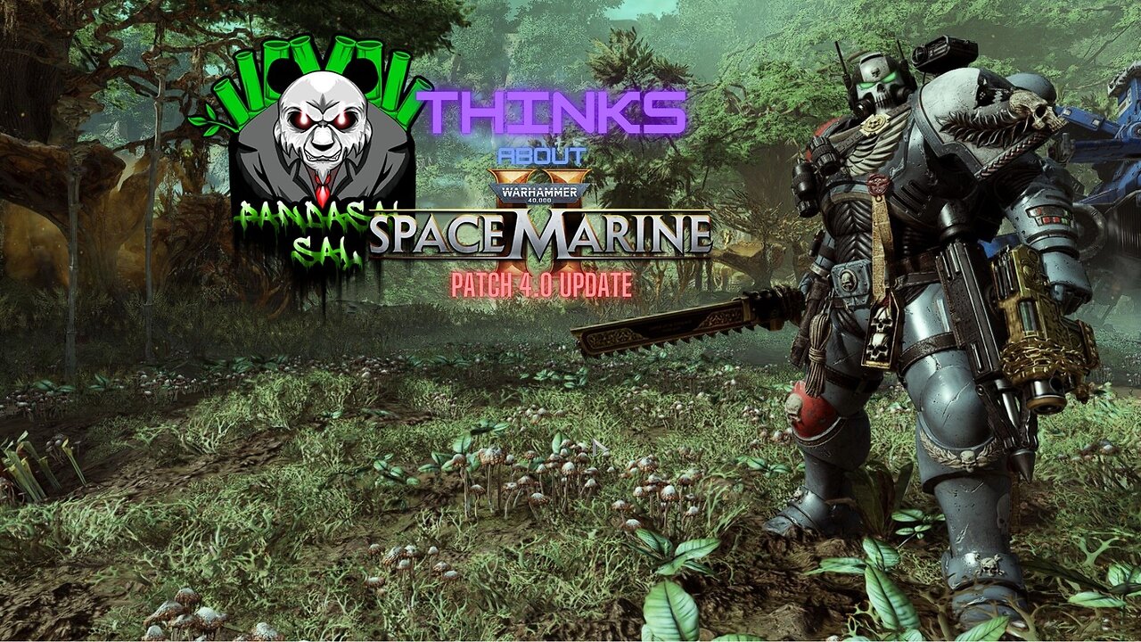 Pandasal Thinks About Patch 4.0 of Warhammer 40,000 Space Marine II