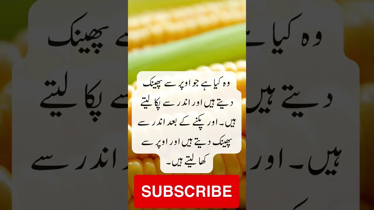 Riddle very easy | interesting facts | funny quotes | joke in Urdu