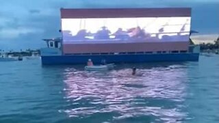 La marina de Miami se transforme en cinéma!