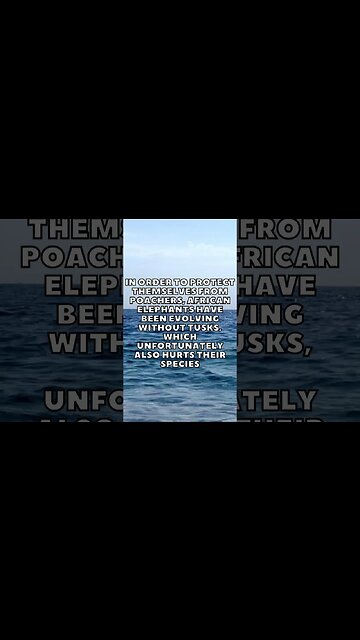 Incredible Random Facts That Will Expand Your Mind! [2023] #shorts #facts #viralshorts #fyp #life