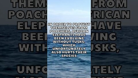 Incredible Random Facts That Will Expand Your Mind! [2023] #shorts #facts #viralshorts #fyp #life