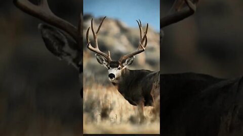 Who’s ready to hunt?